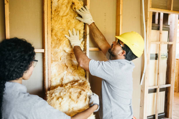 Best Blown-In Insulation  in , SD